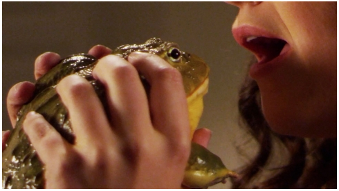 Zoosk Puts Go Daddy to Shame With Even Gnarlier Kissing Ad That frog is not much of a prince