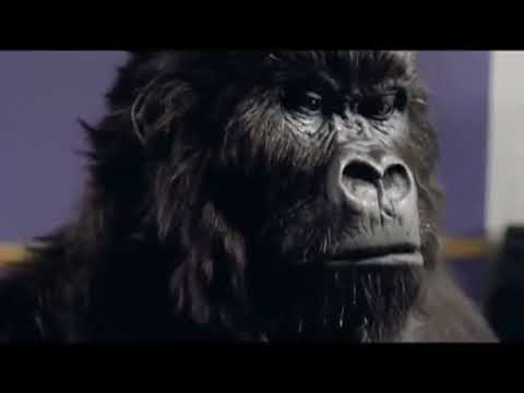Cadbury Gorilla: The Drum Solo That Changed British Advertising
