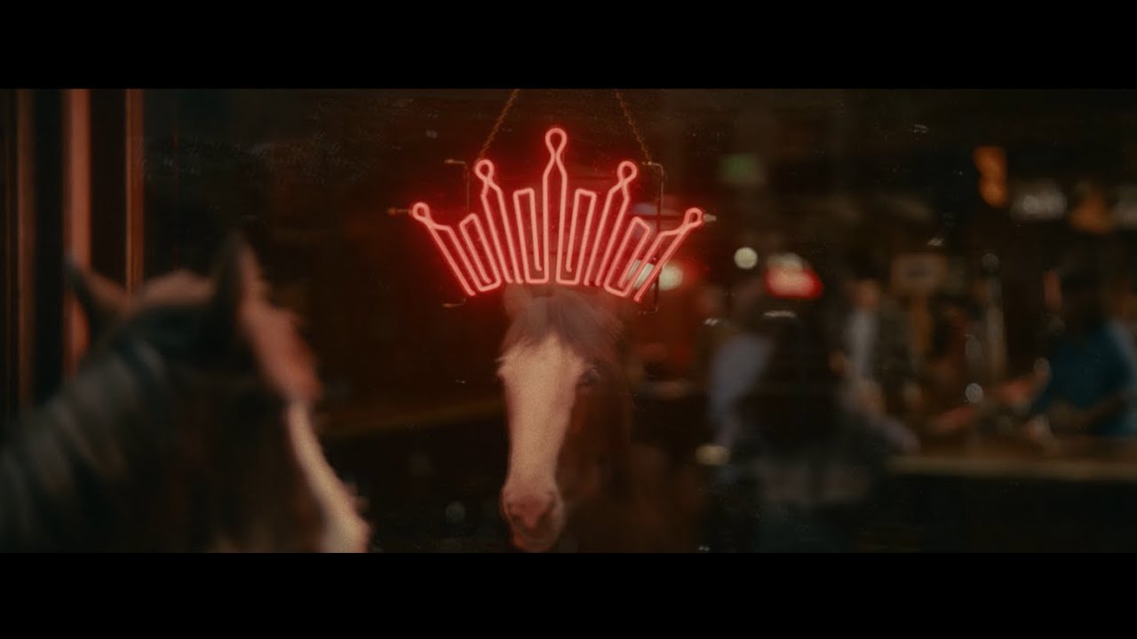 Budweiser 'First Delivery': The Clydesdale Foal's Super Bowl Debut